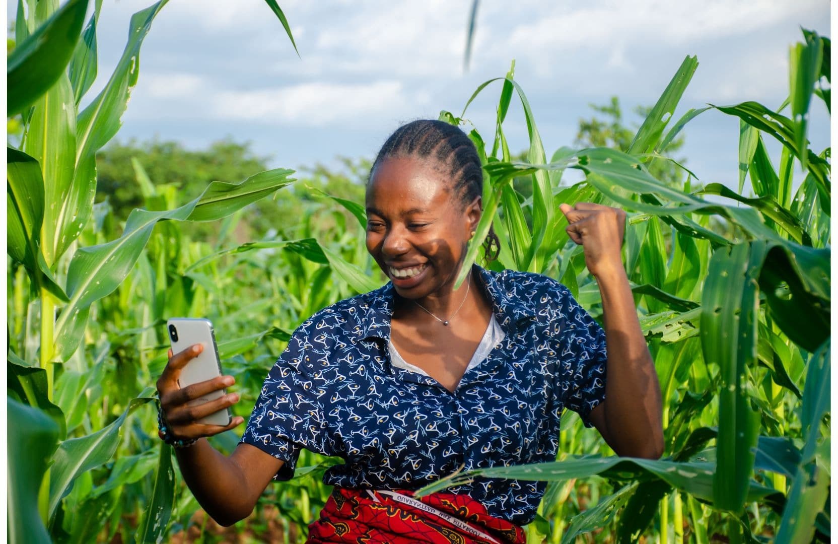 A farmer celebrating while looking at her phone in a maize field